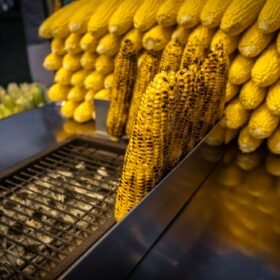 A street vendor roasts corn on a charcoal grill in Istanbul,
